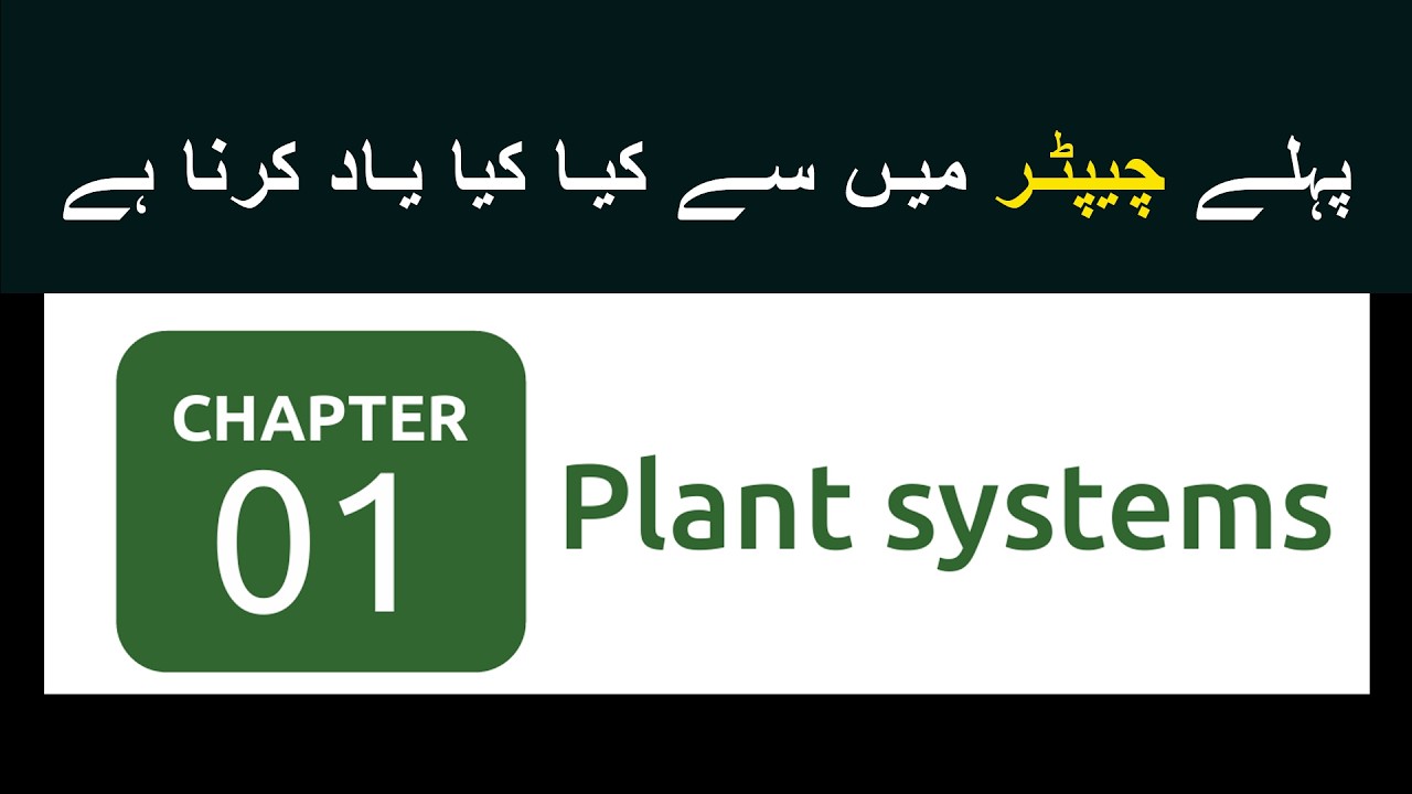 Plant system one shot | Science Class 7 Oxford | Complete chapter | Grade 7 | grade 8 | pectaa
