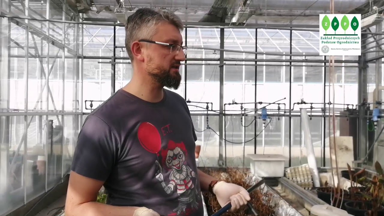 Technologie Fitoremediacji