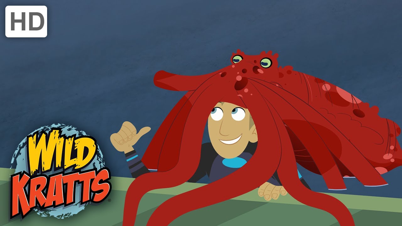 Wild Kratts | Octopus Wildkratticus | Full Episode | Season 1