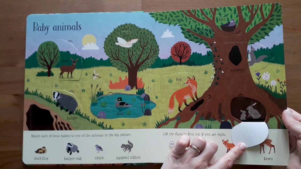 Lift the flap Nature - Usborne