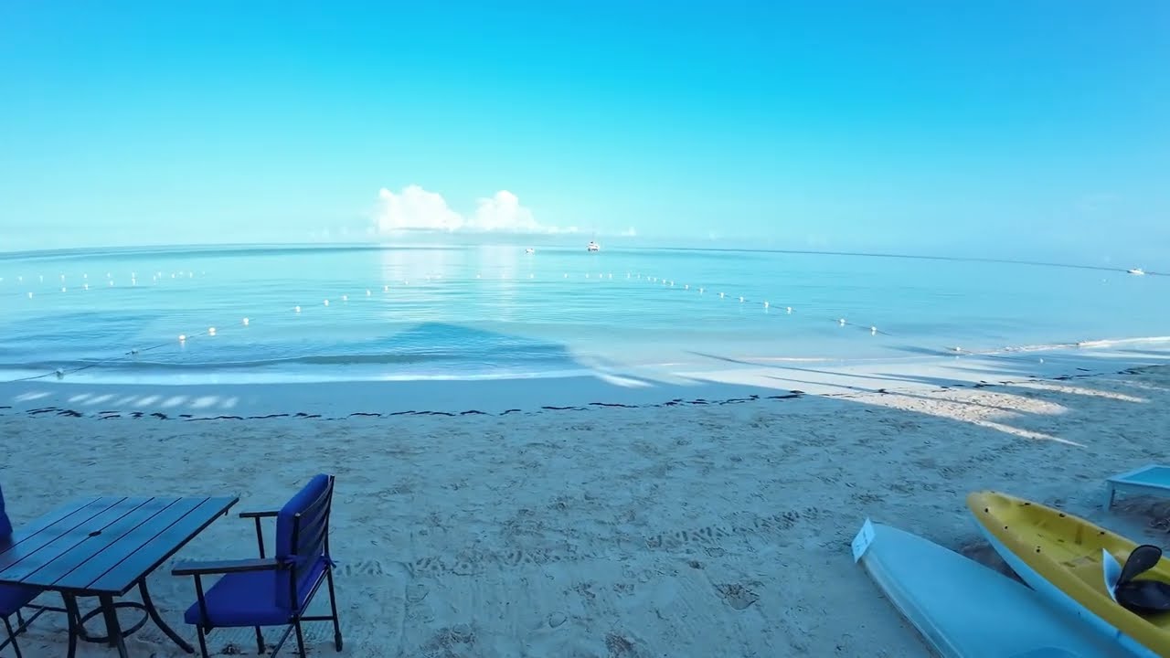 Negril Jamaica | Morning walk on the beach | White sand beach | Seven mile beach