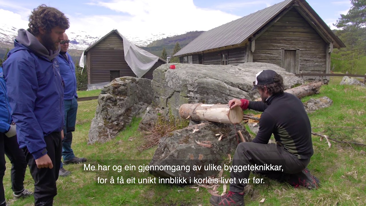 Handverkaren sin tur - Wild Voss