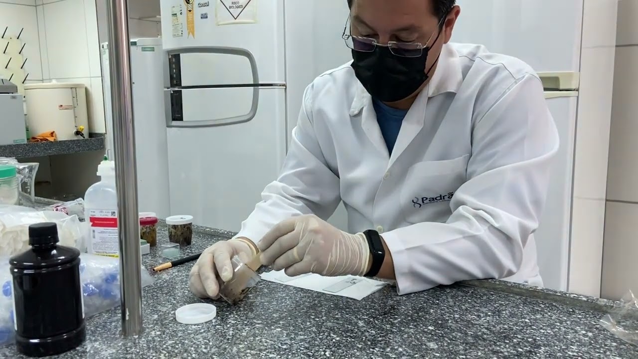 Técnica de exame microscópio de fezes, direto à fresco e direto com Lugol na  análise parasitológica