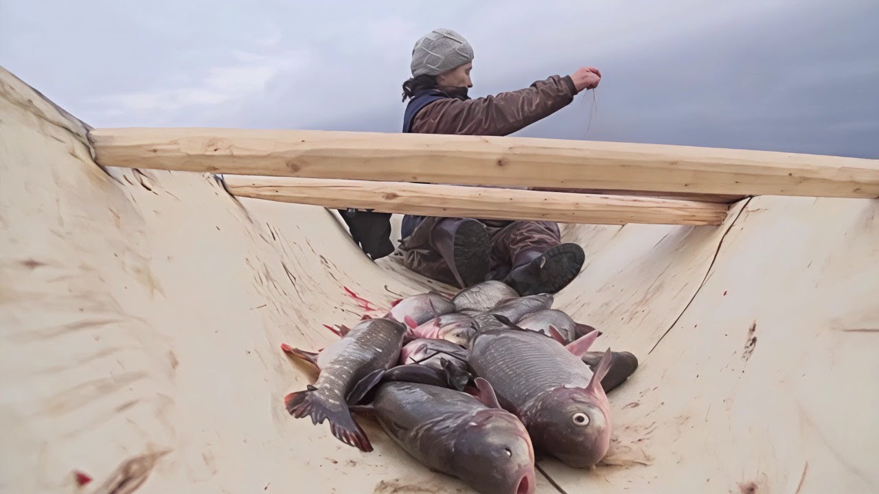 Хозяйка тайги. Часть 1 | C полем!