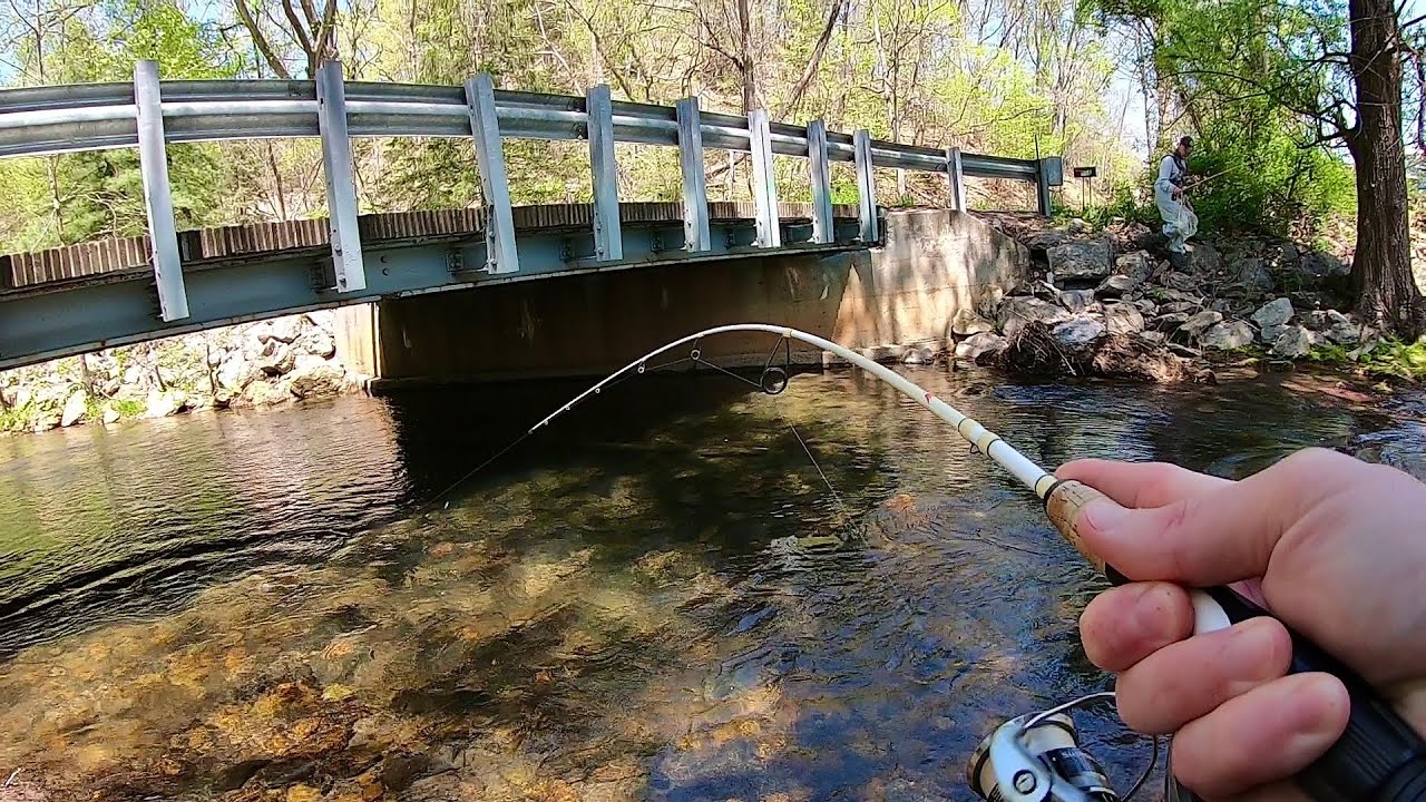 TROUT Fishing with Spinners (Creek Fishing)