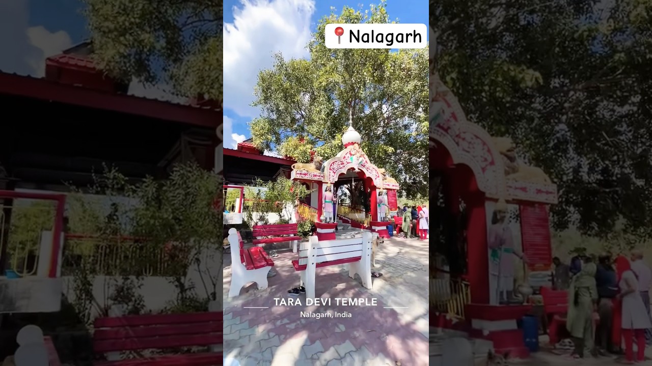 Maa Tara Devi Mandir #nalagarh #taradevitemple #hillstation #jaimatadi #mandir #solan #himachal #ok