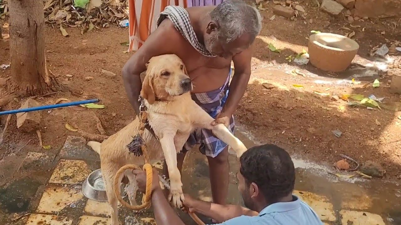 ஐயோ போச்சே😂