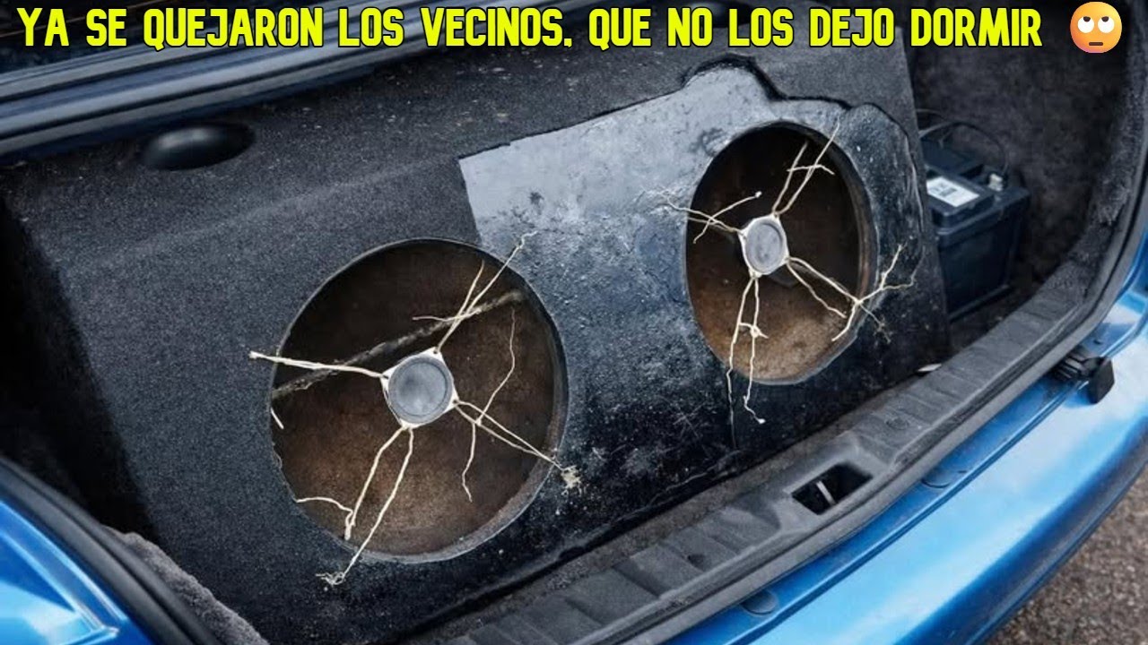 Ches vecinos no aguantan nada | RDDC #237