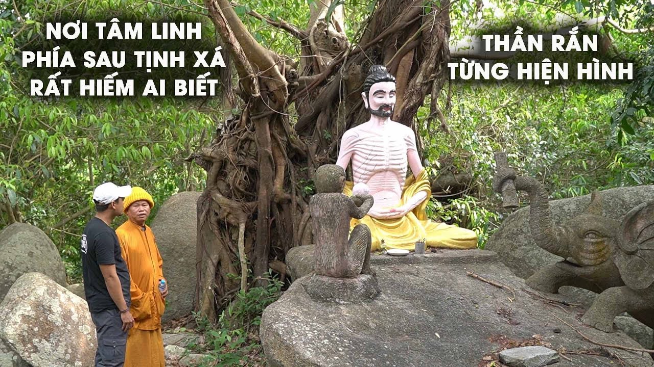 Vong Linh Bộ Đội Báo Mộng Cho Sư Thầy Chỉ Chỗ Hài Cốt Gần Cây Đa Ngàn Năm