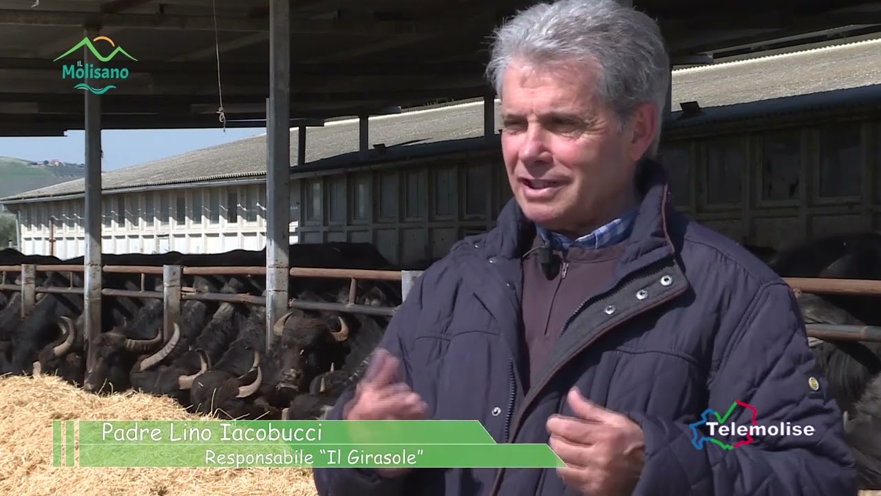 Il Molisano - Puntata 28 - Un progetto sociale e imprenditoriale: le bufale a Rotello