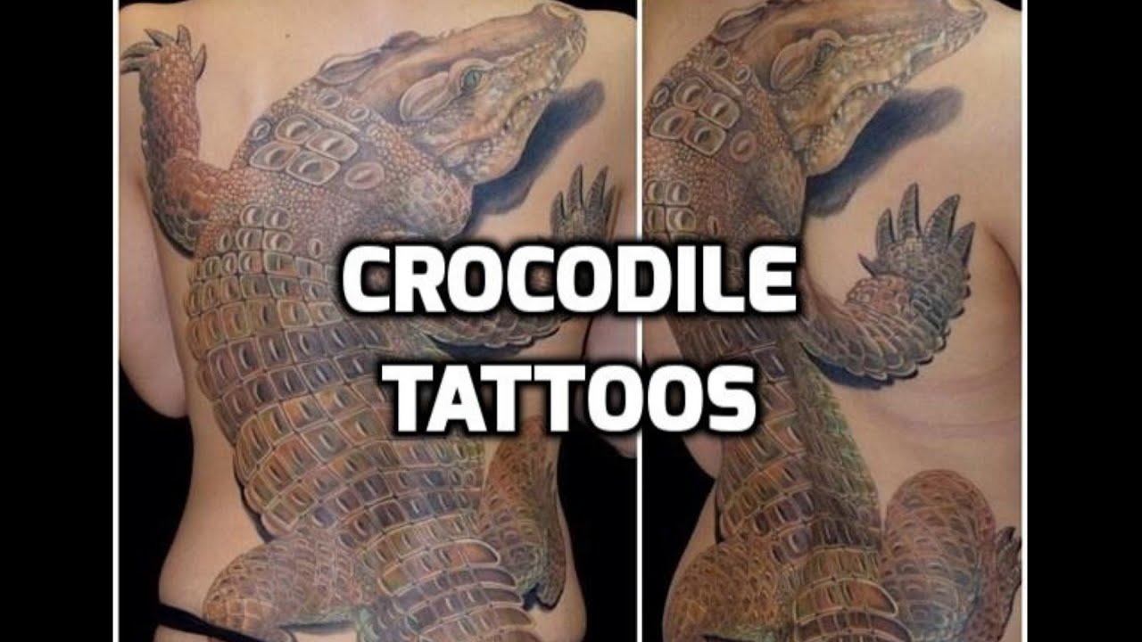 Crocodile Tattoos HD - Best Crocodile Tattoo Designs