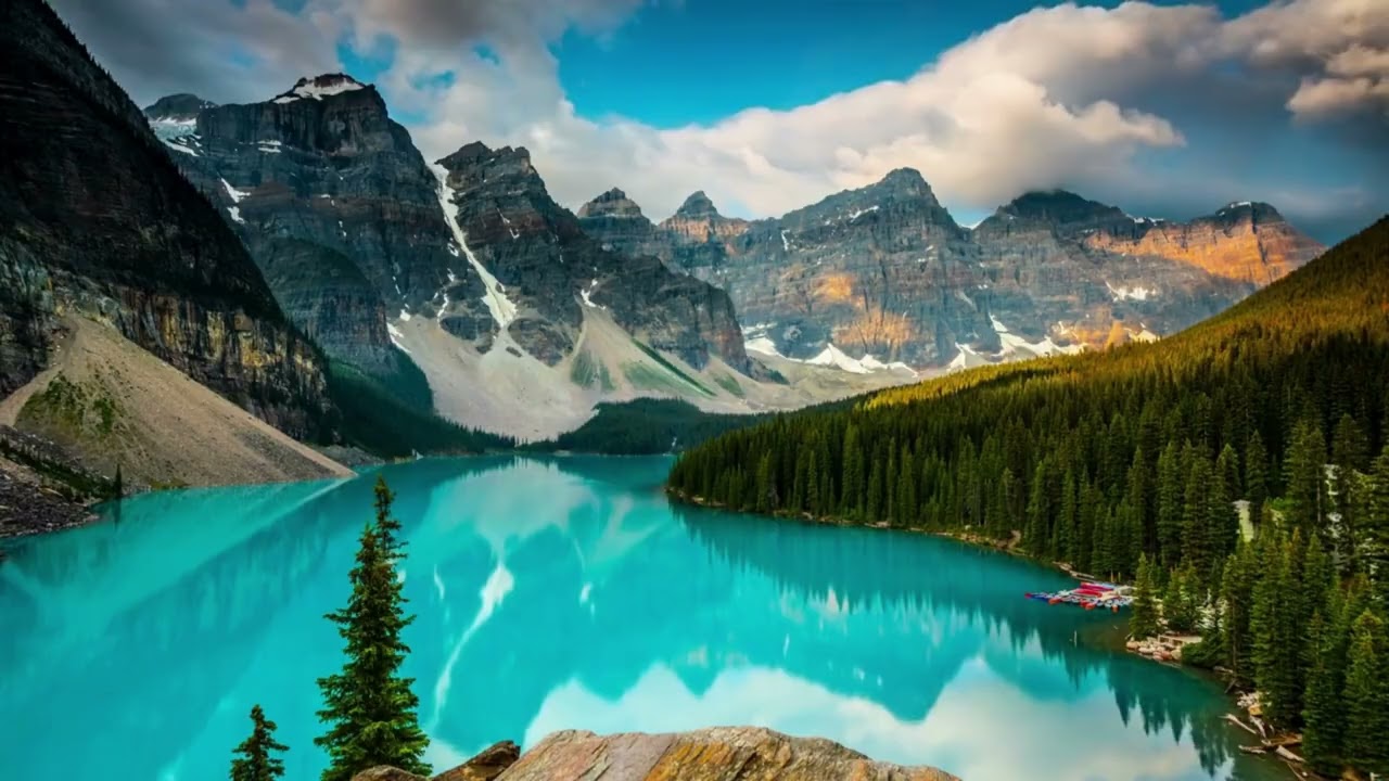 🎵Cozy Atmosphere🌙Peaceful  Forest🌌 Deep Relaxation & Stress Relief