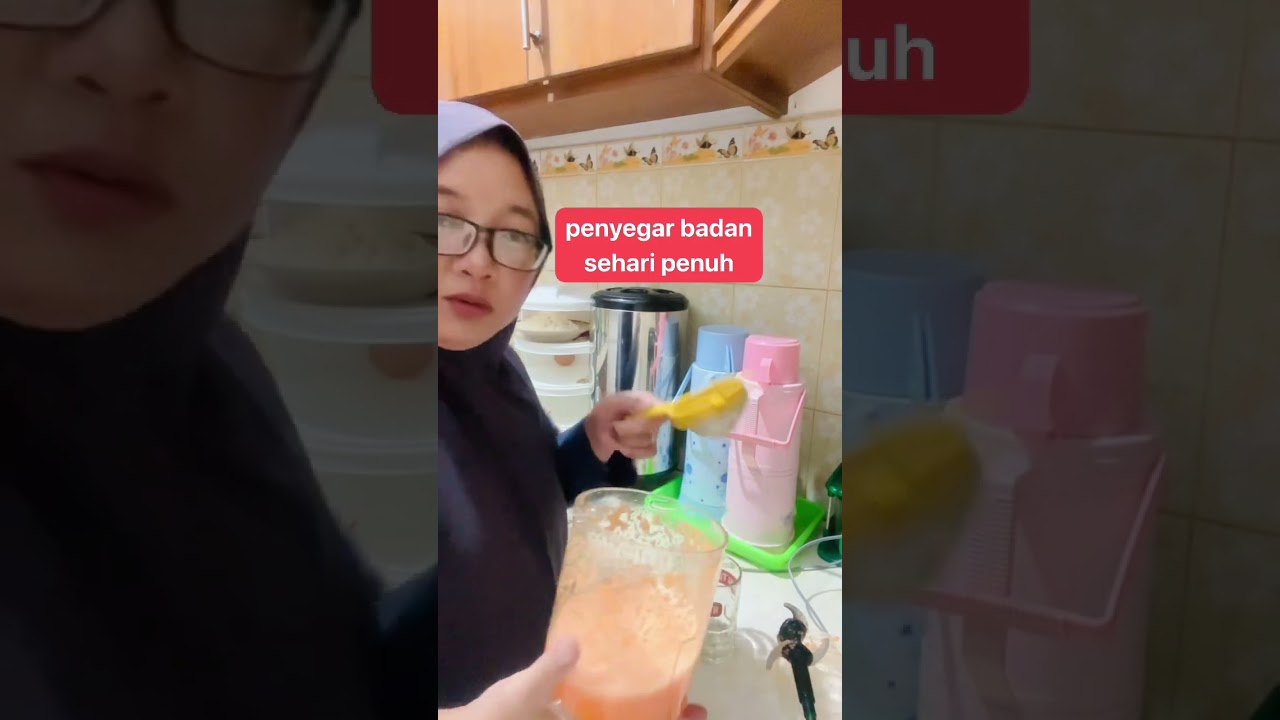 diet sehat 