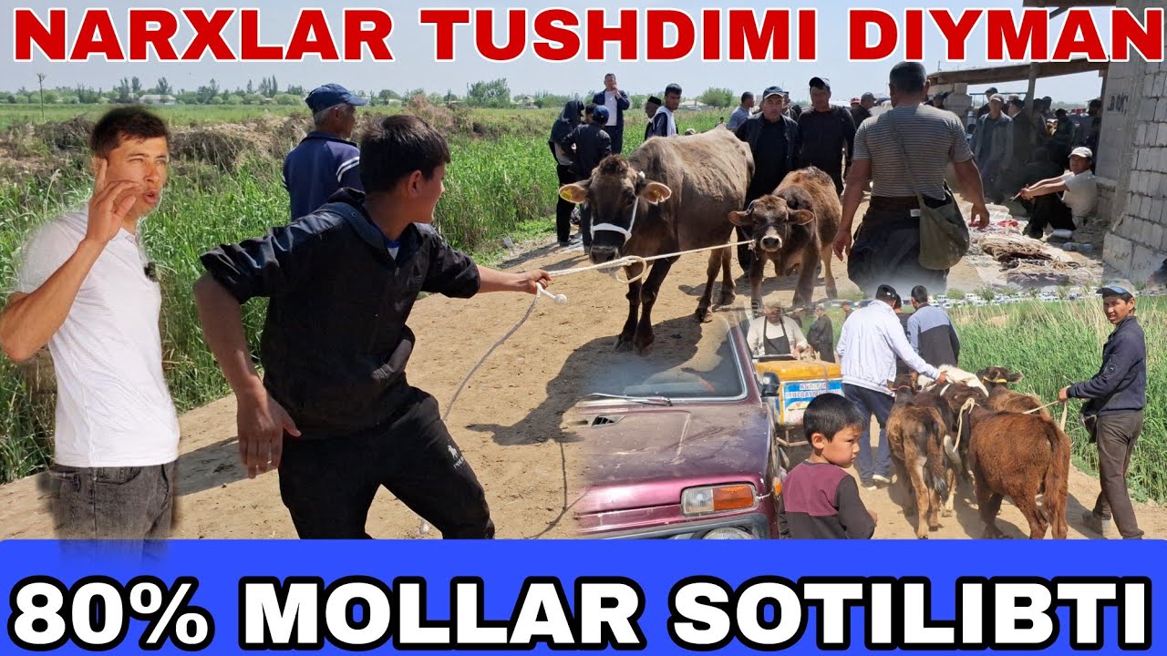 BUGUN QIZIRIQ JAXON MOLBOZORI 80%MOLLAR SOTILDI NARXLAR TUSHDIMI? 21.04.2024