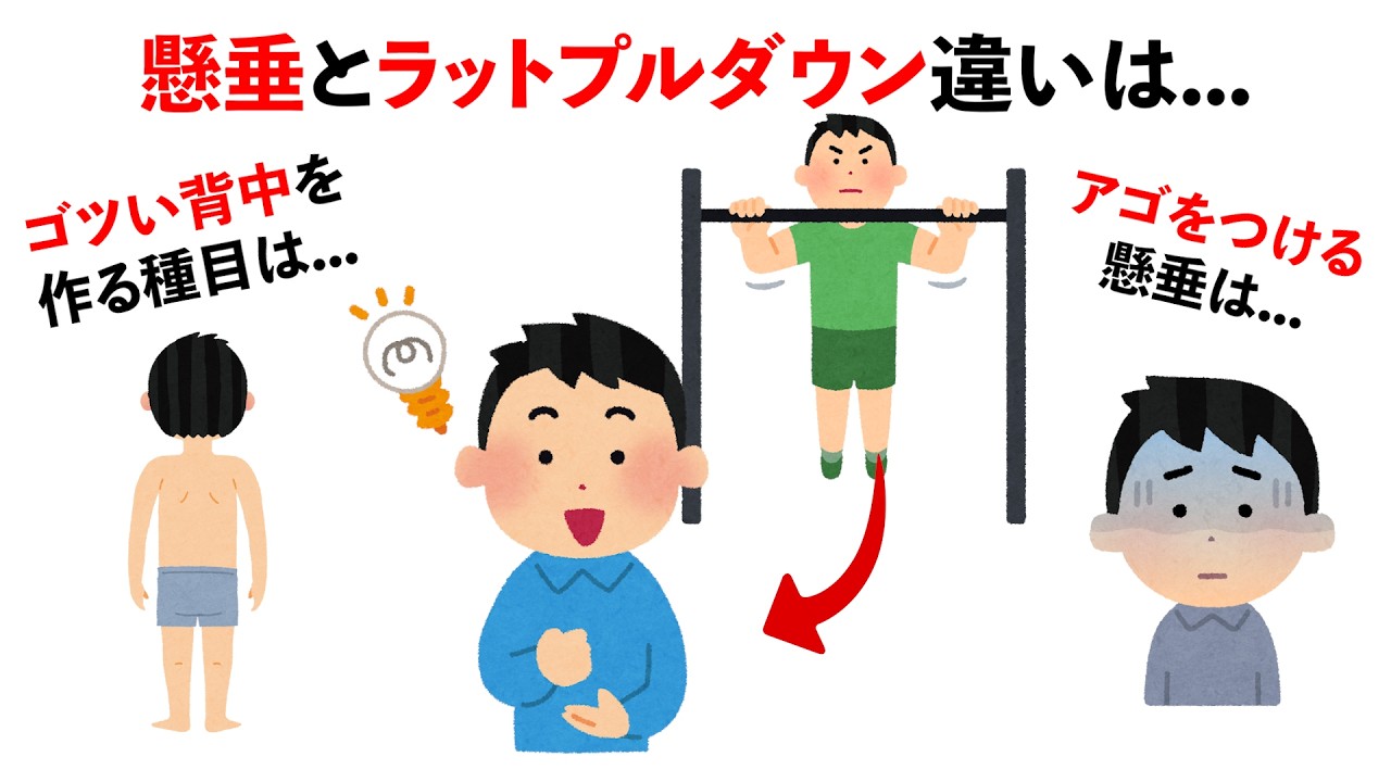 【筋トレ】知っていると得をする懸垂とラットプルダウンの雑学　#トリビア#豆知識#広背筋