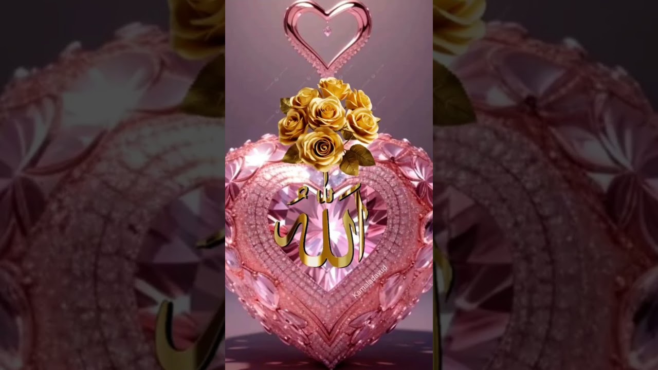 peace through Islam❤❤❤❤❤