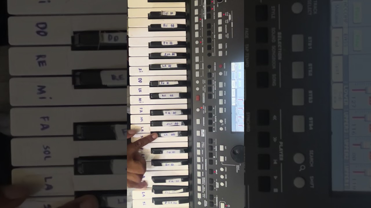Un fin de semana Bronco Tutorial teclado 