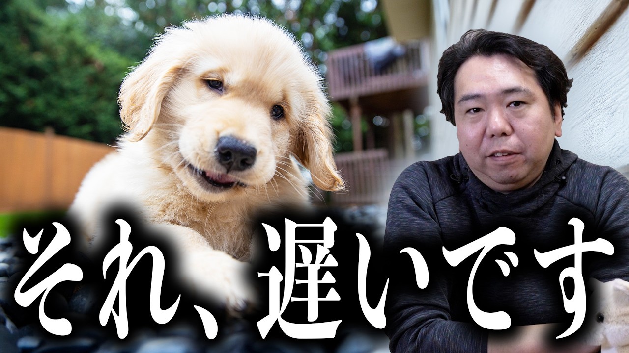 多くの飼い主さんが間違えている拾い食いの止め方