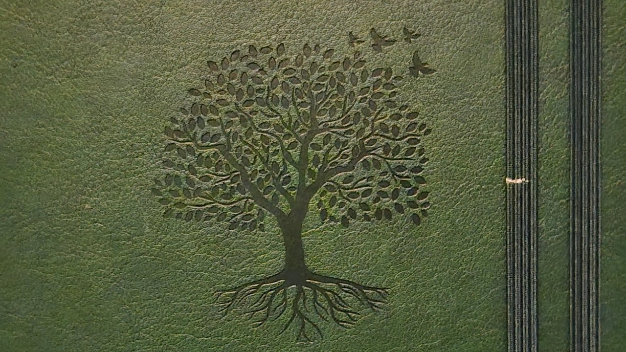 January 28, 2026 Bullet Journal