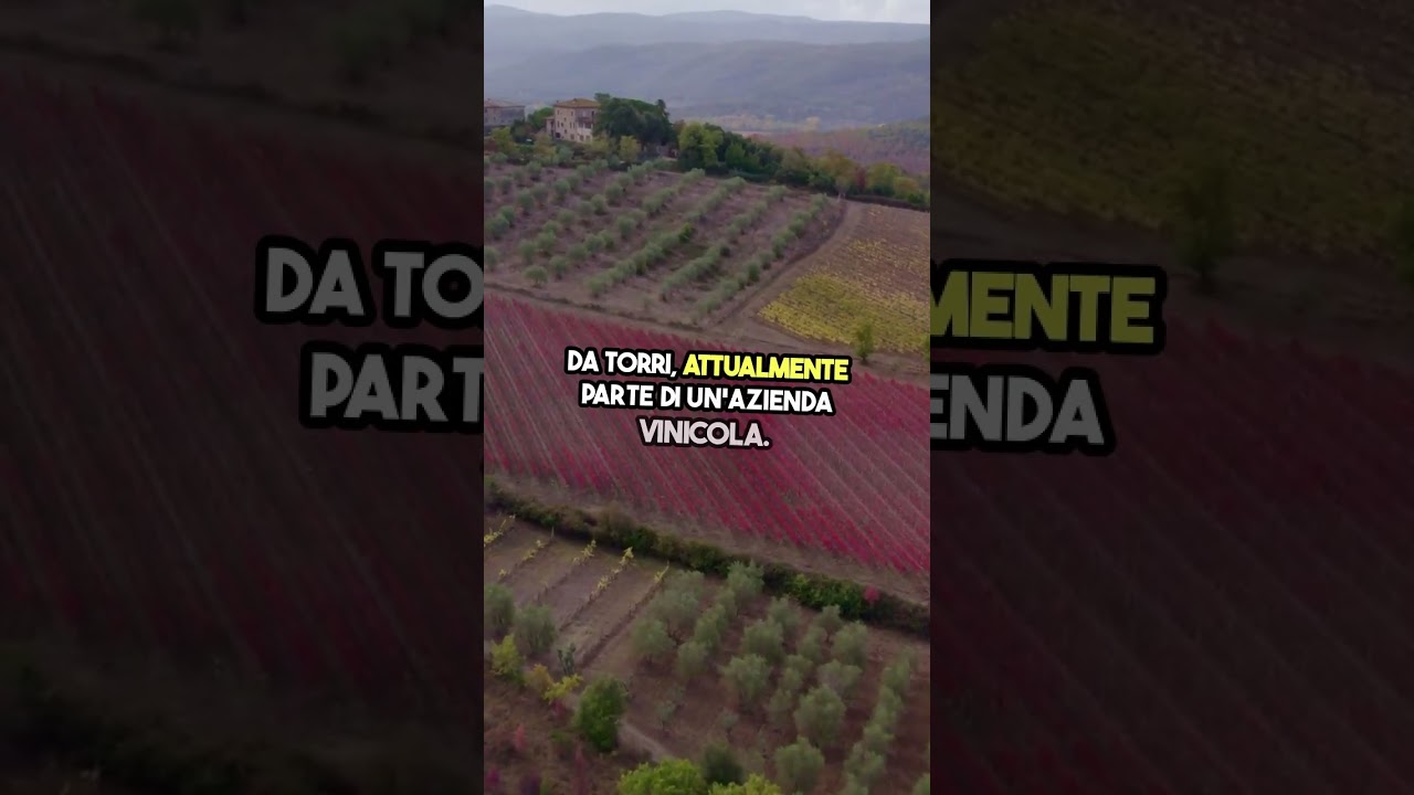 Elon Musk  Investimenti e Castelli Toscani! VEED