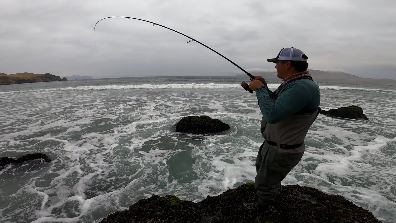 NO ESPERABAMOS ESTA PESCA