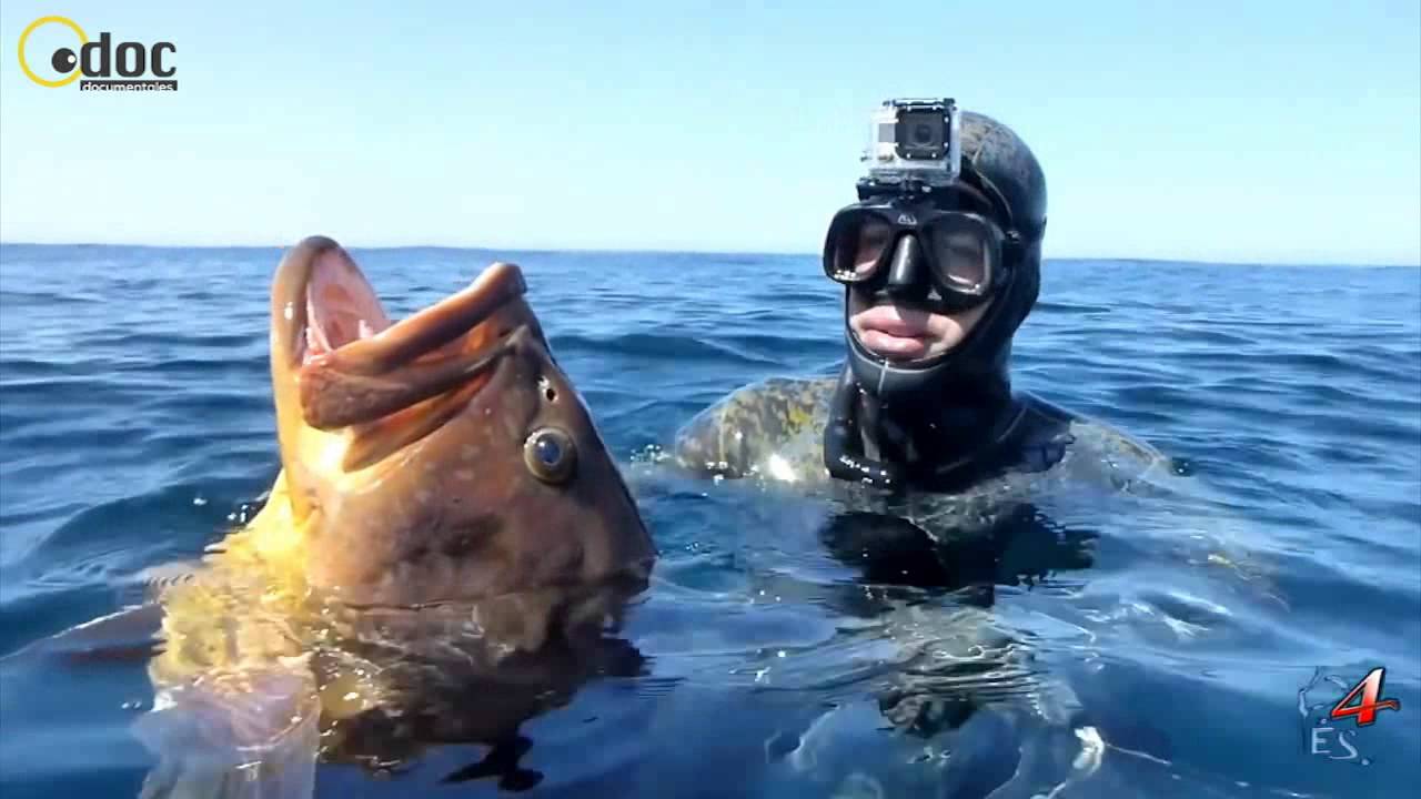 Pescando a la espera 4