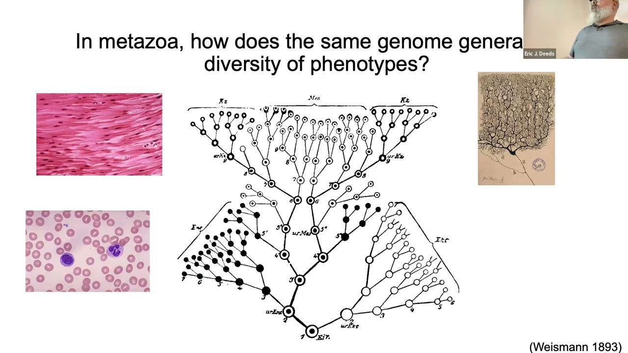 Dr. Eric Deeds, Professor, Integrative Biology and Physiology, UCLA