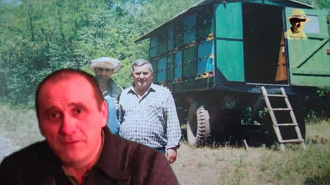 Cu ce lazi de stupi sancepem.