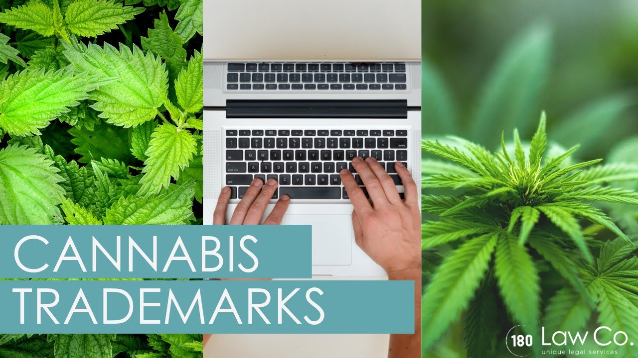 Trademarks for Cannabis Products - All Up In Yo' Business