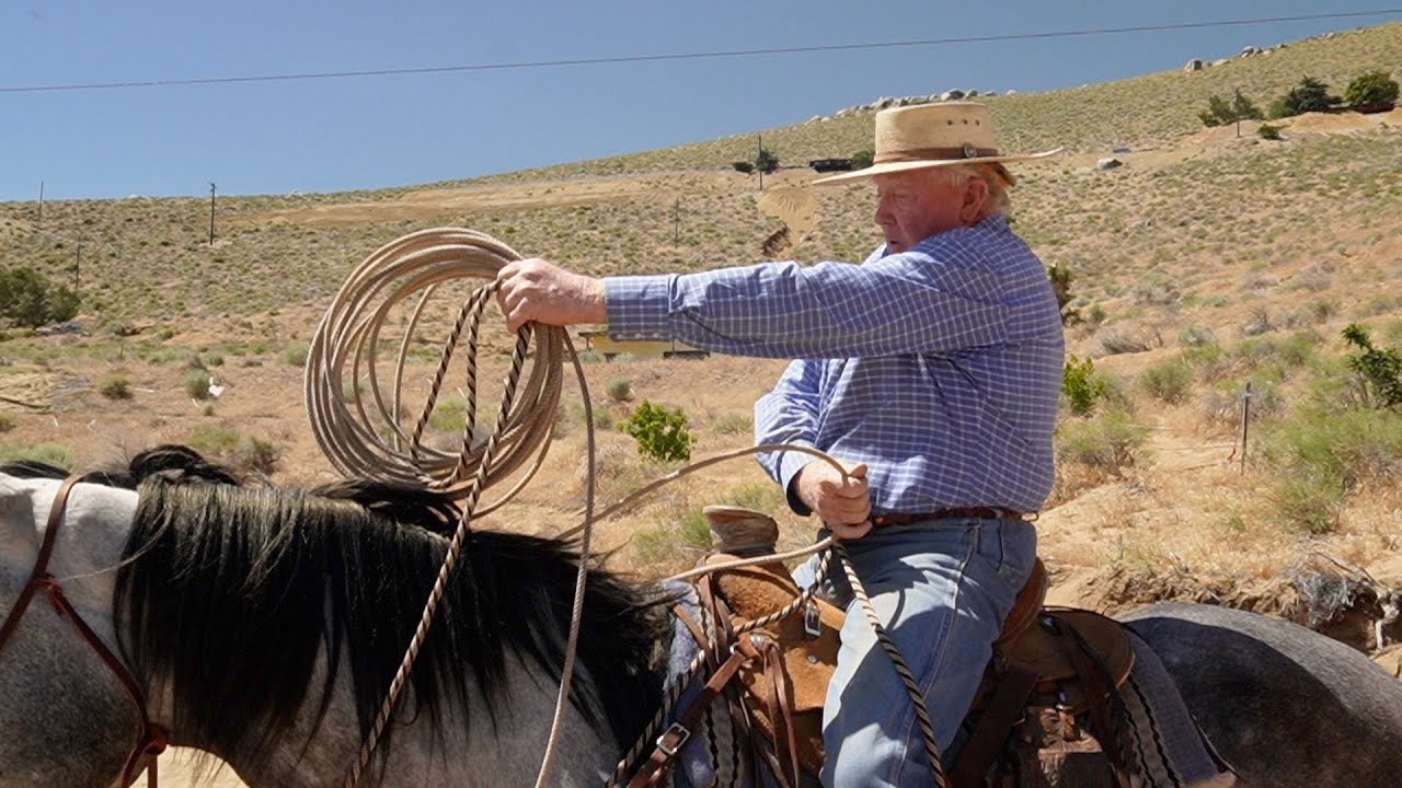 Cattle Work & Roping: Some Missing Pieces of the Puzzle