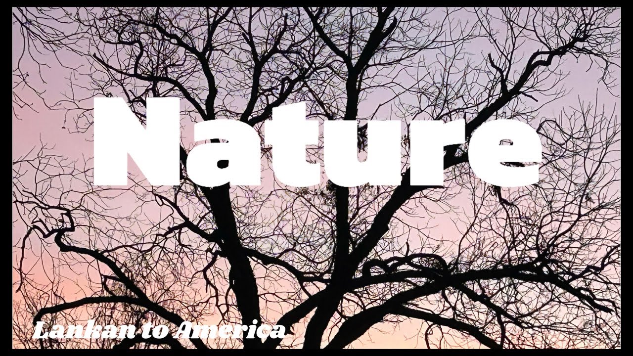 සොබා දහම🌈🦋| Nature ☘️#nature #universe