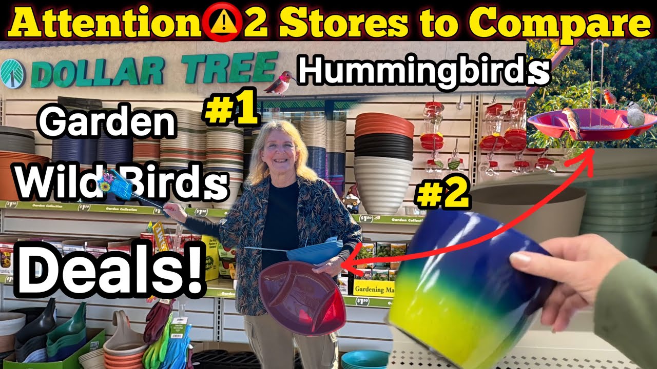 NEW Dollar Tree ITEMS (2 Stores Compared)TIPS on Garden & Hummingbirds Seeds Flower Pots BIRD Feeder
