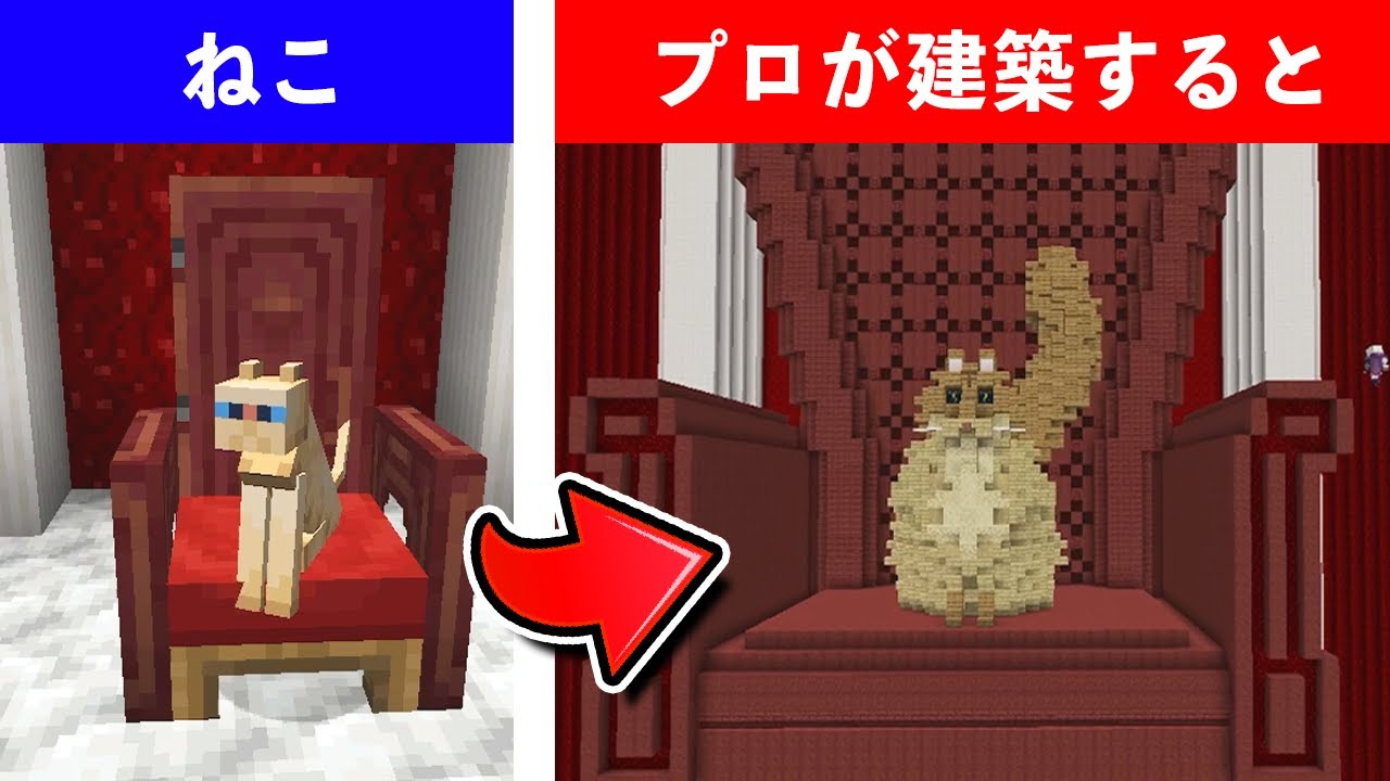 【初心者vsプロ】マイクラの猫をリアルに建築する対決！！【マイクラ・マインクラフト】