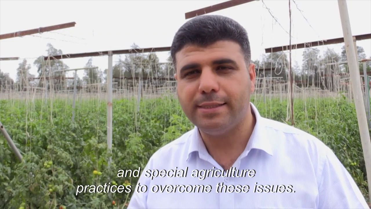 First Cravo in Qatar: retractable X-Frame and Flat roof cooling house