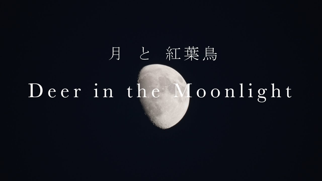 月と紅葉鳥   ～Deer in the moonlight～
