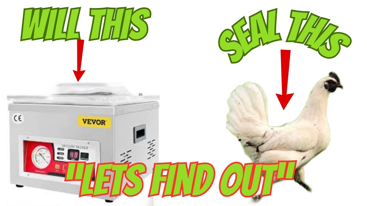 Will The Vevor DZ 260A Vacuum Sealer Seal A Whole Chicken? Lets Find Out