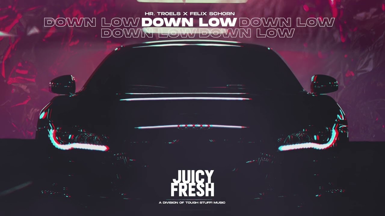 Hr. Troels x Felix Schorn - Down Low (Official Audio HD)