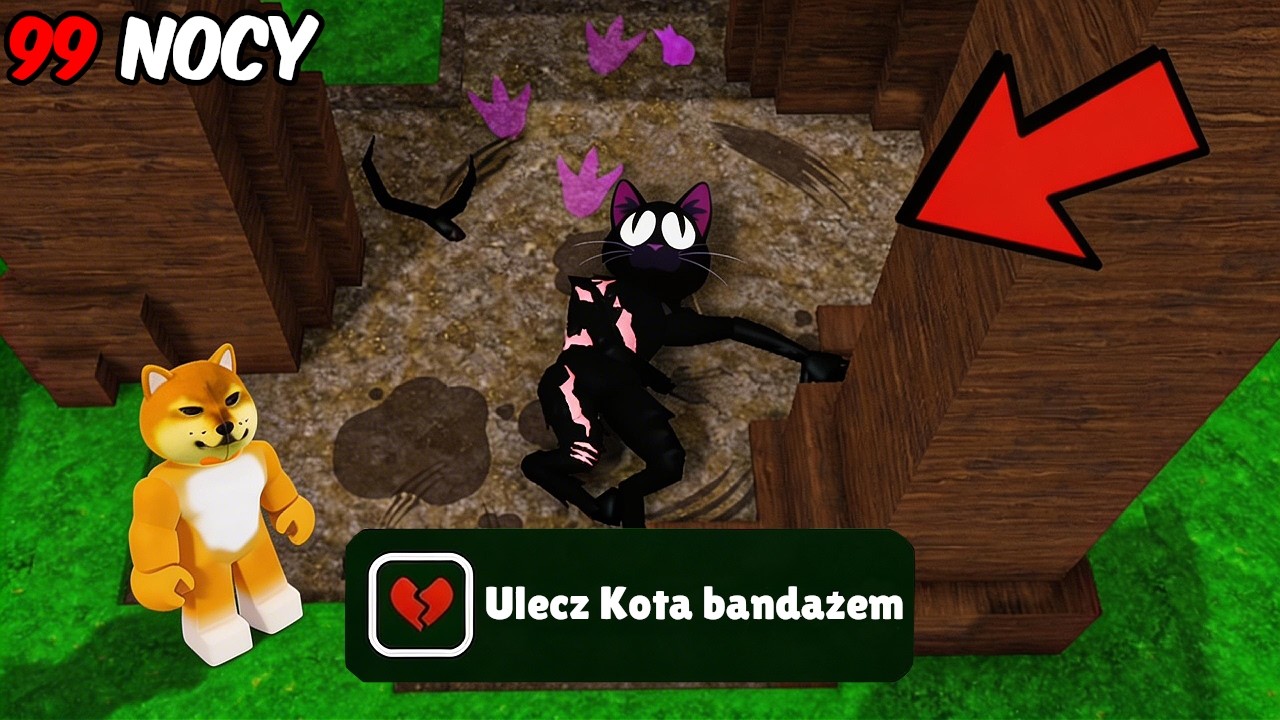 KOT ZOSTANIE RANNY w NOWYM UPDATE do 99 nocy w Lesie?!