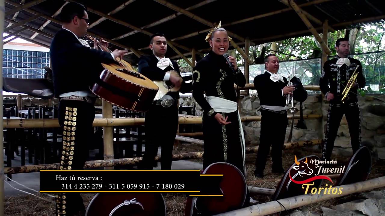 El rey del Hogar  mariachis bogota - Mariachi Juvenil Toritos