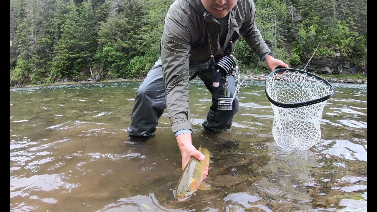 Breaking my own Rules   Fly Fishing on the North Fork Coeur D'Alene River