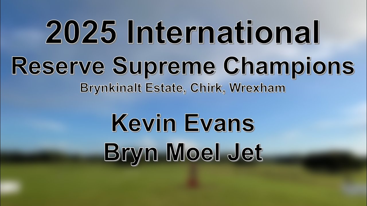 Kevin Evans - Bryn Moel Jet - Reserve Supreme Champions 2025 International Sheep Dog Trials