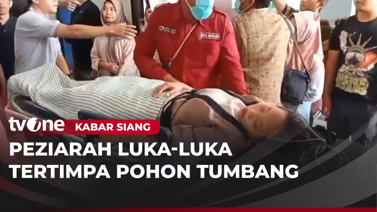 Pohon Tumbang di Kawasan Gunung Tidar Magelang Timpa Rombongan Peziarah, Satu Meninggal Dunia