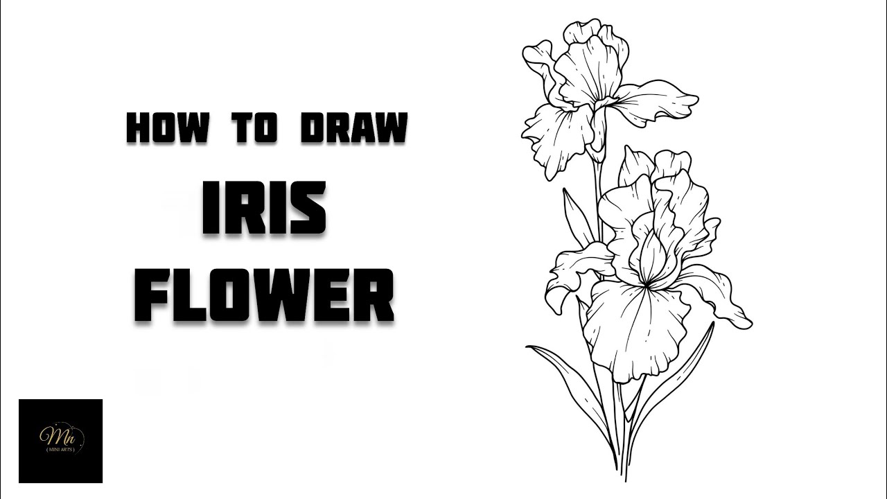 How to draw iris flowers step by step ? || Iris flower drawing tutorial #drawing #drawingtutorial