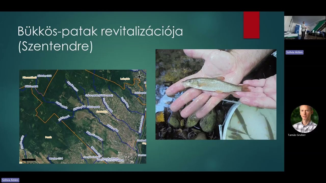 Kisvízfolyások rehabilitációjának ökológiai és műszaki interatív tervezése -Kulisszatitkok