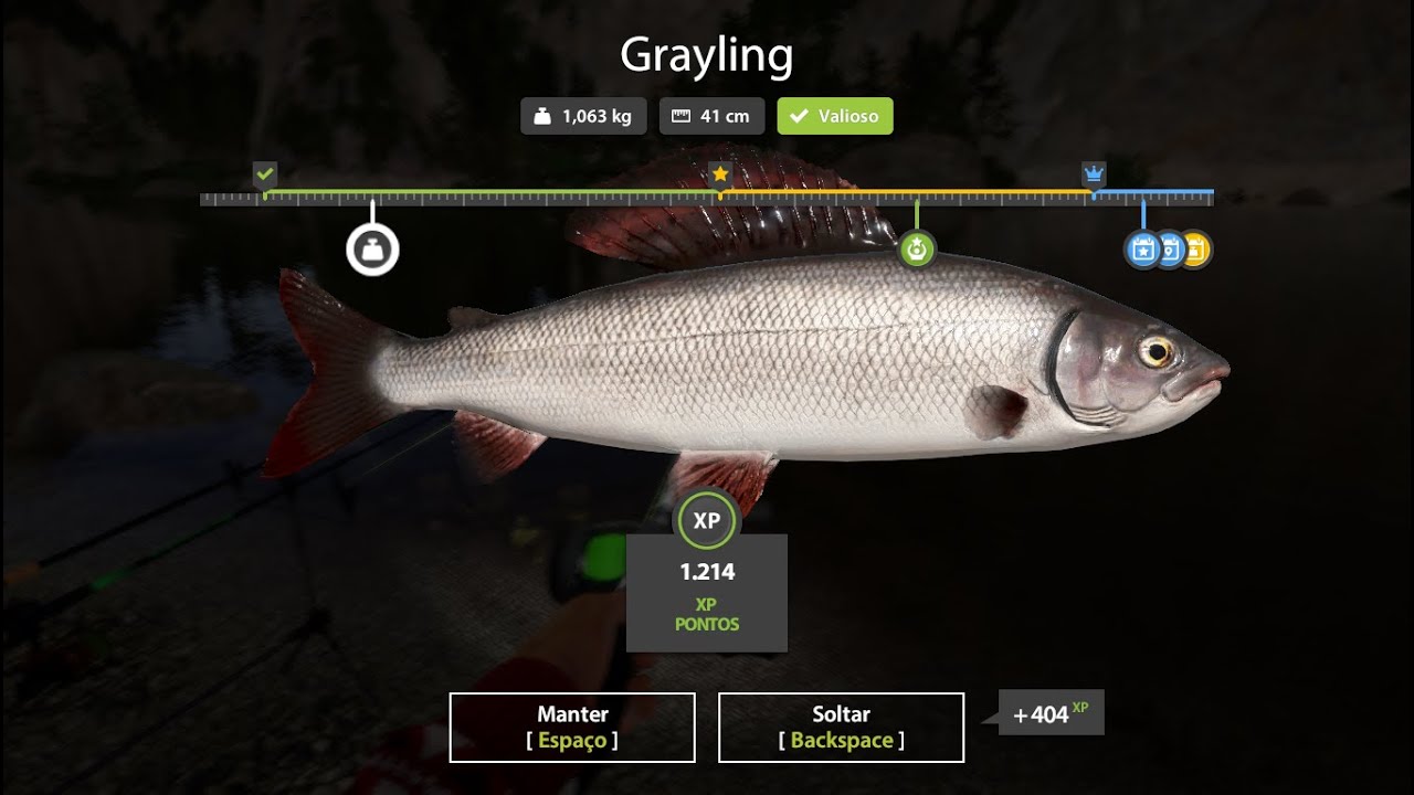 grayling em busca do troféu