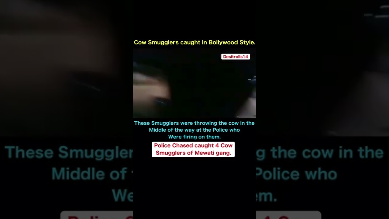 Gurugram police encounter with cow smugglers.