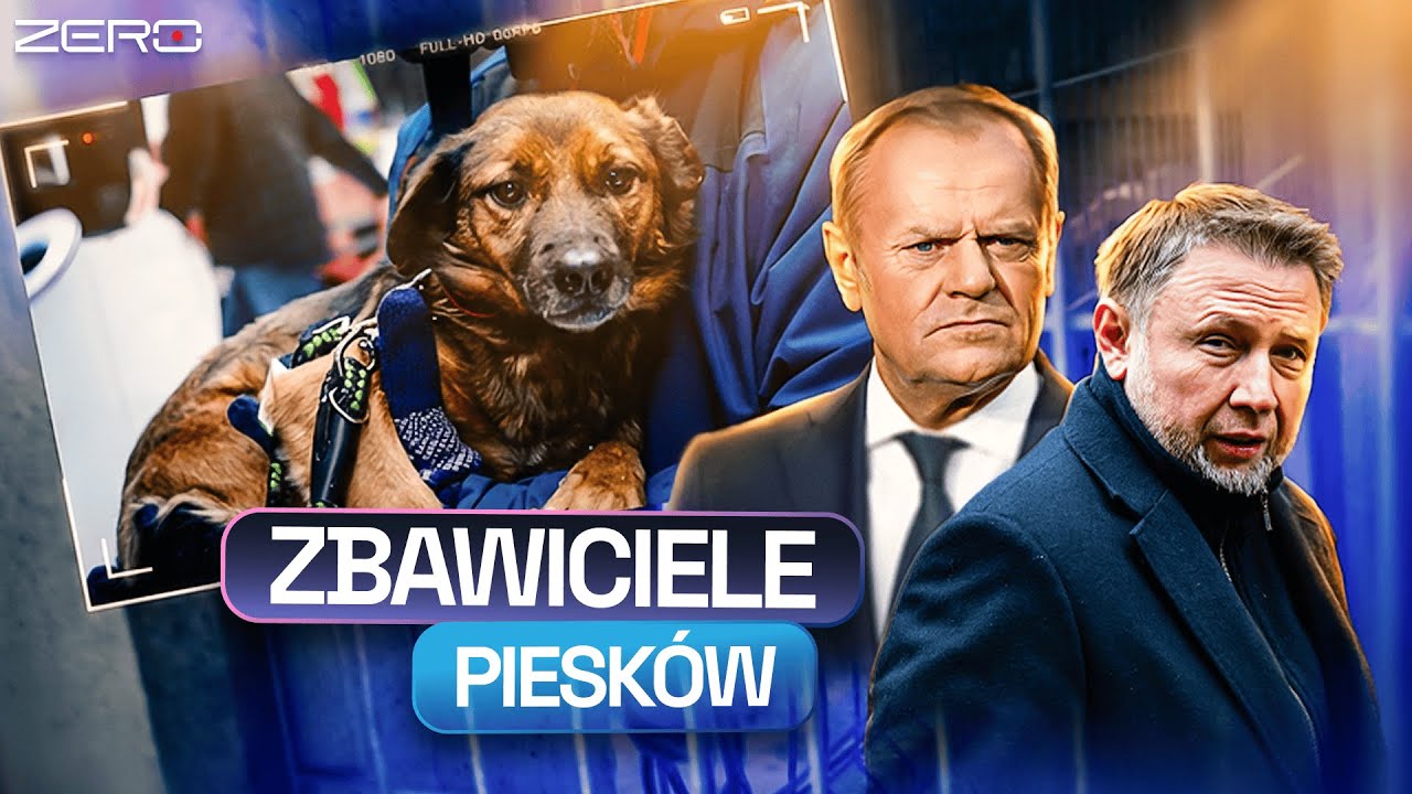CYNIZM POLITYKÓW. PATOSCHRONISKA DO LIKWIDACJI