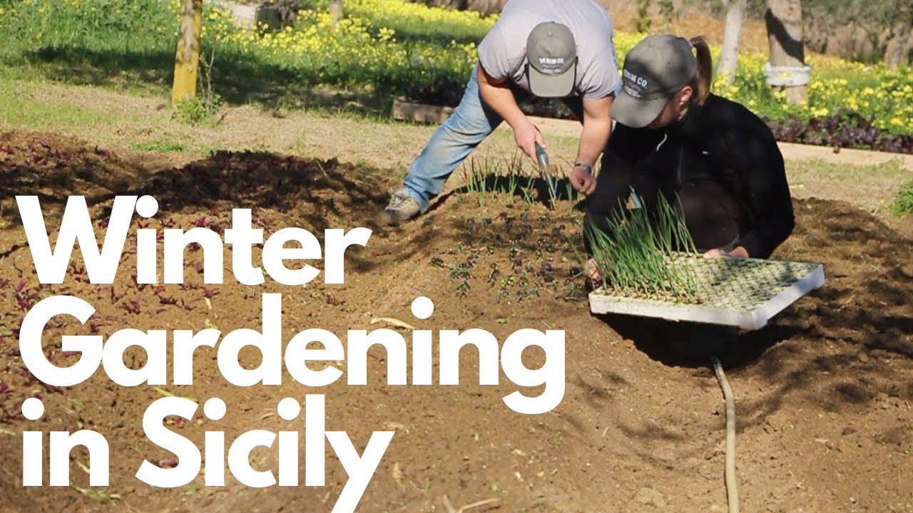 WINTER GARDEN: Enjoying all year Garden