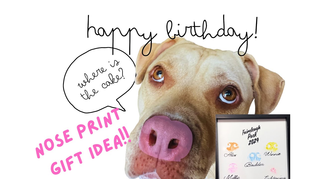 S2 E3 - How To “ Dog Nose Print” Craft for ALL Dog Lovers!!!