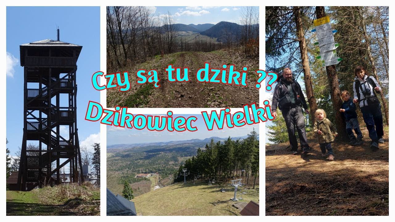 Czy są tu dziki ??🤔🤣Dzikowiec Wielki🤣